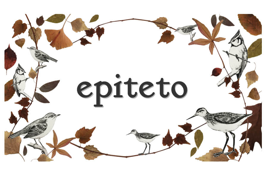 18_EPITETO_00